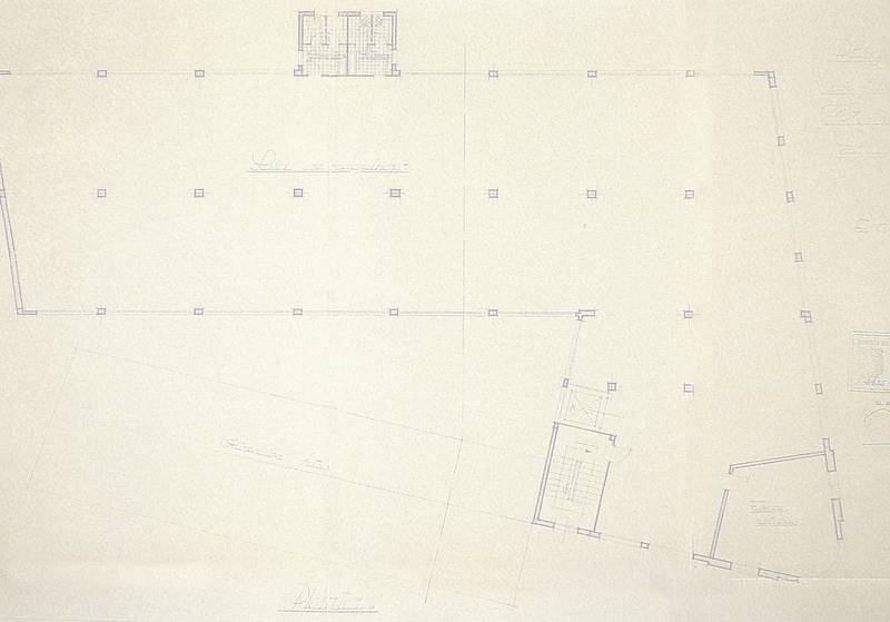 16605 IP-01 cadenas-iris 4plantajpg-1952.jpg